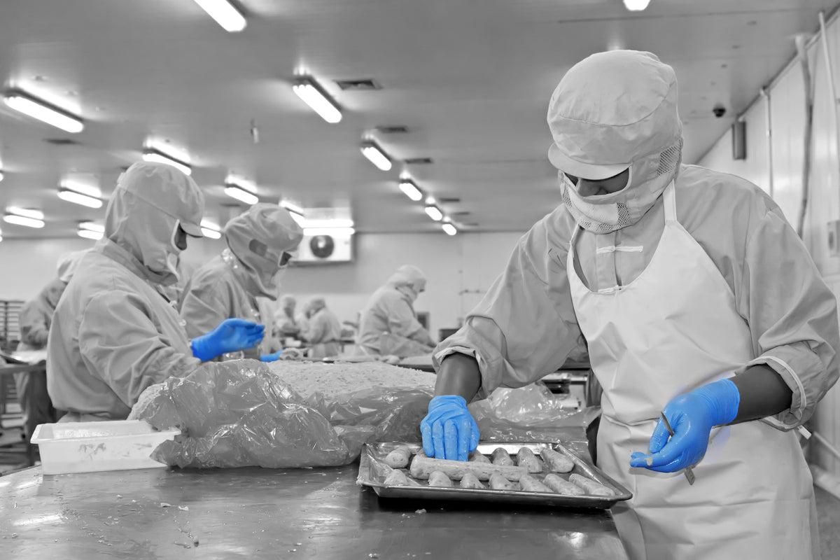 GRIPPAZ 308 disposable nitrile gloves with fish-scale grip, 50 pcs